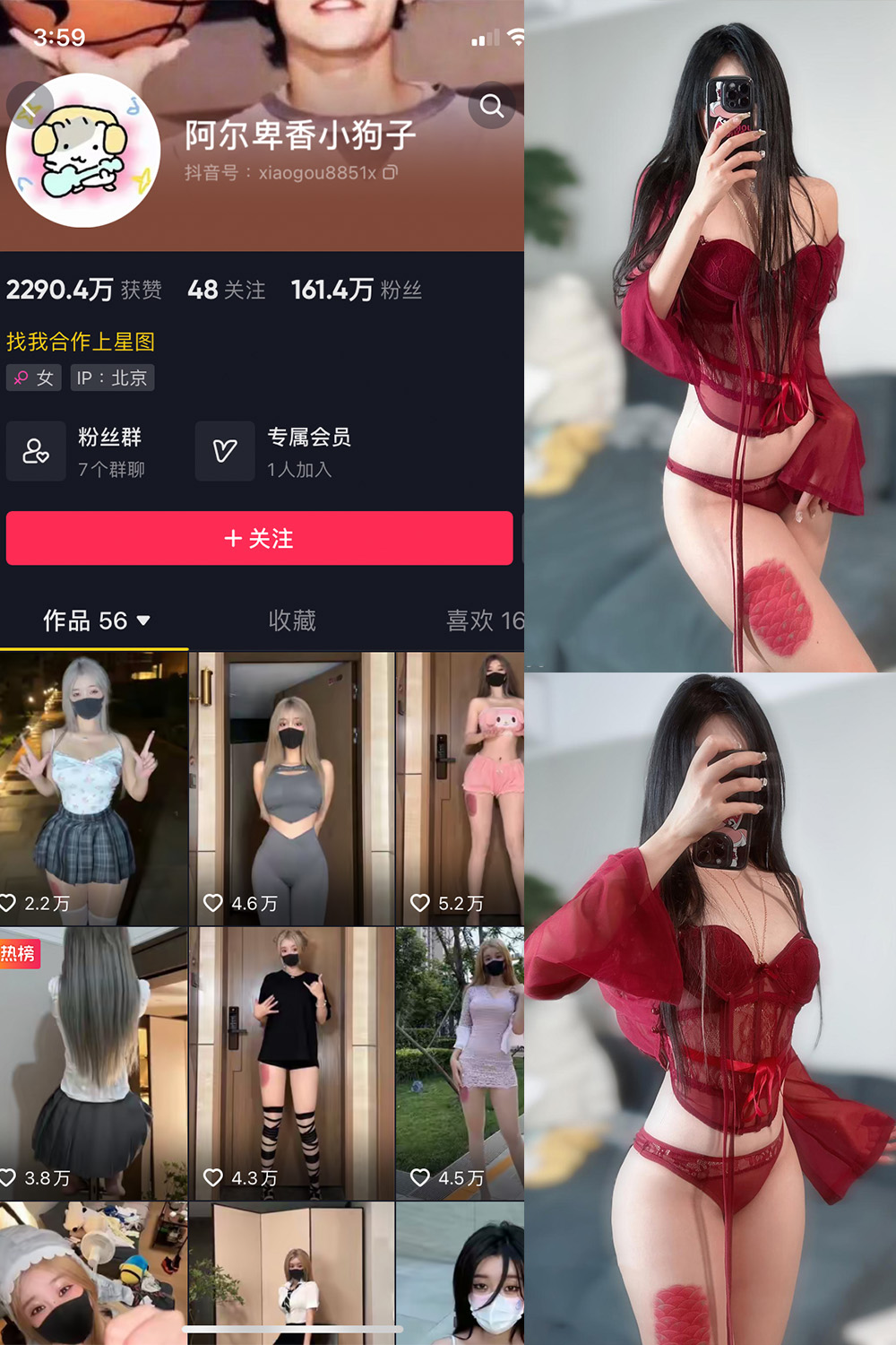 抖音 阿尔卑香小狗子 微密圈  NO.004期 【10P2V】